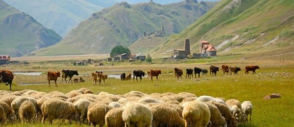 TERROIRS & PRODUCTEURS